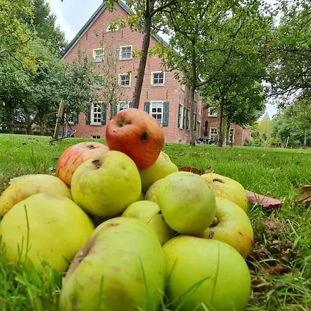 Gulfhof Boomgaarden 16 公寓 Krummhörn