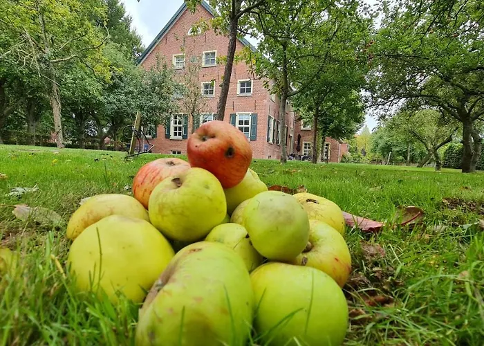 Gulfhof Boomgaarden Boomgaarden 16 Lejlighed Krummhörn